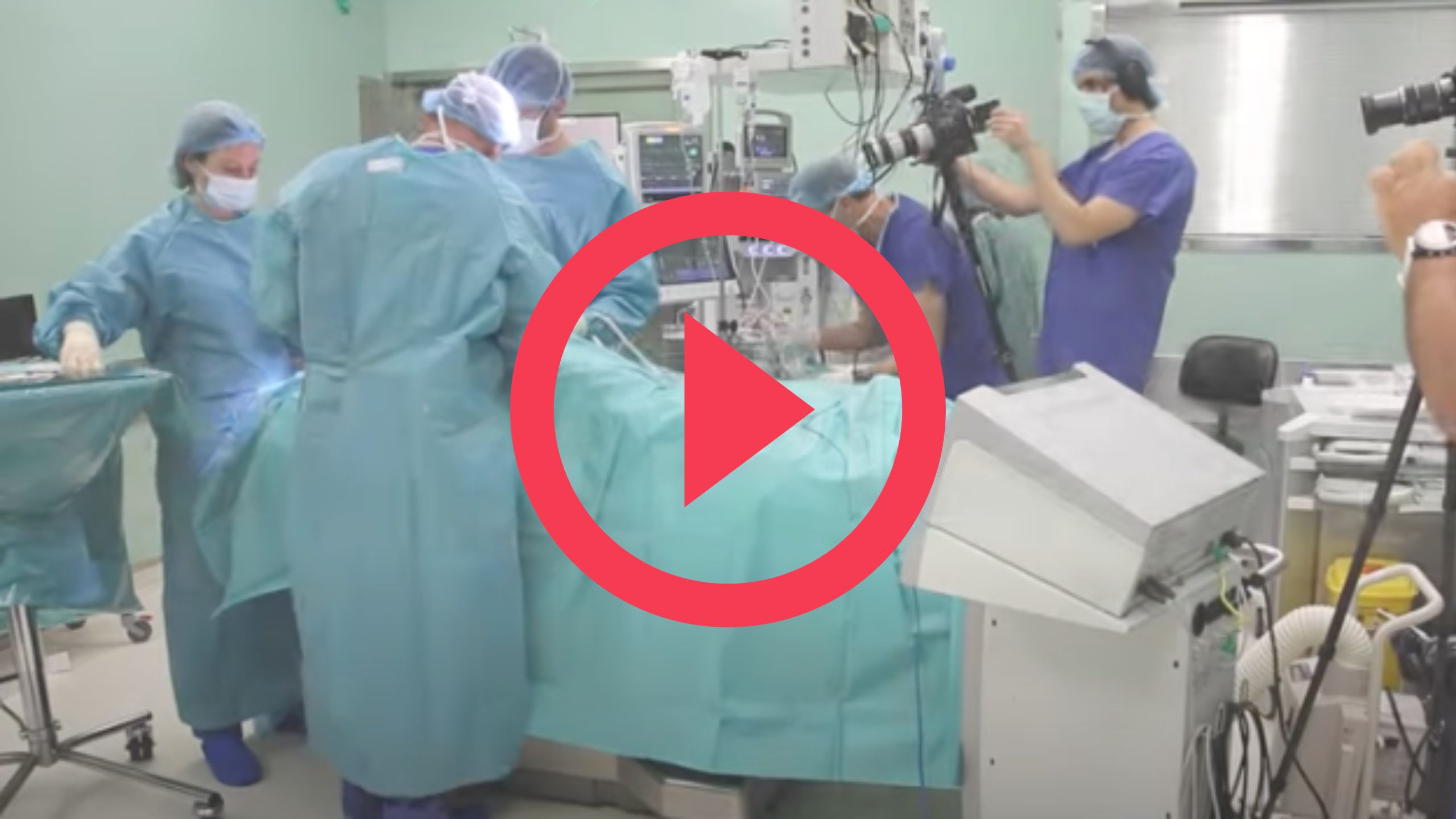 Vídeo Paloma. Este enlace se abrirá en una ventana nueva