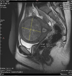 Captura de Pantalla 2022-02-16 a la(s) 9.48.21