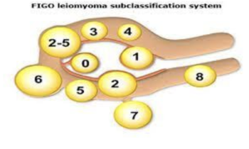 Captura de Pantalla 2022-02-16 a la(s) 13.06.39