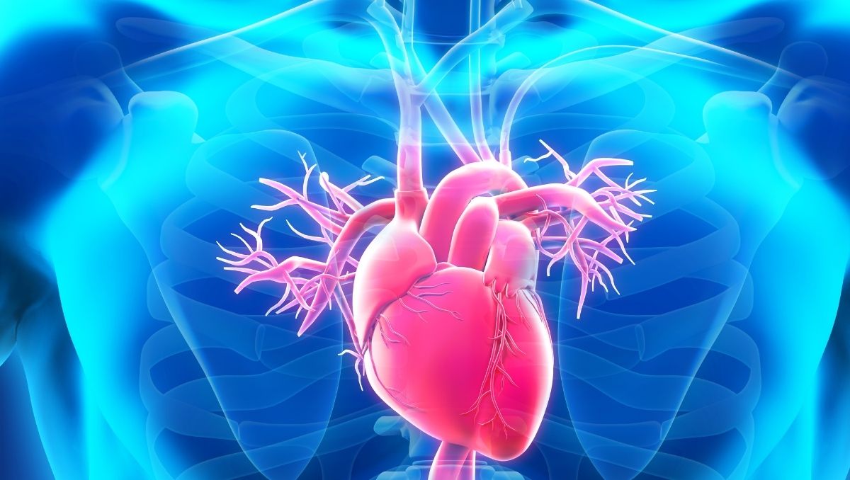 aneurisma-aorta-teknon-barcelona