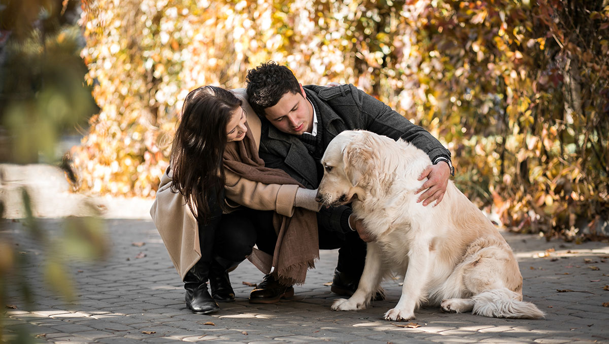 perros-ayudan-obesidad