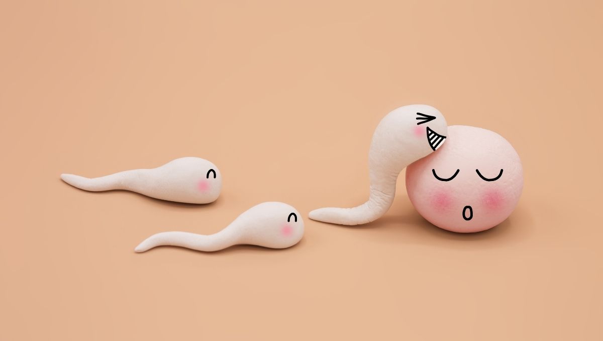 donacion-ovulos-teknon-barcelona