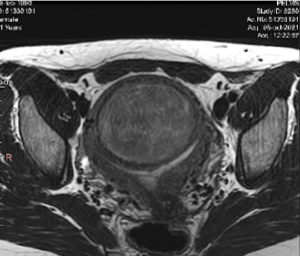 Captura de Pantalla 2022-02-16 a la(s) 9.48.15