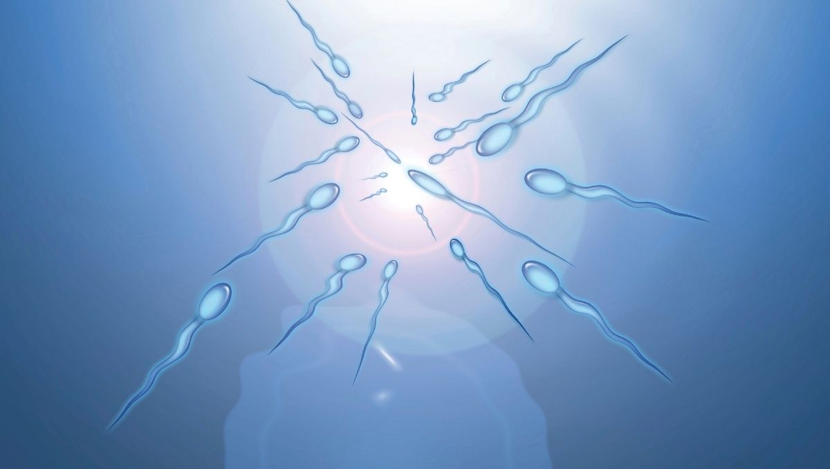 Reserva ovárica Teknon