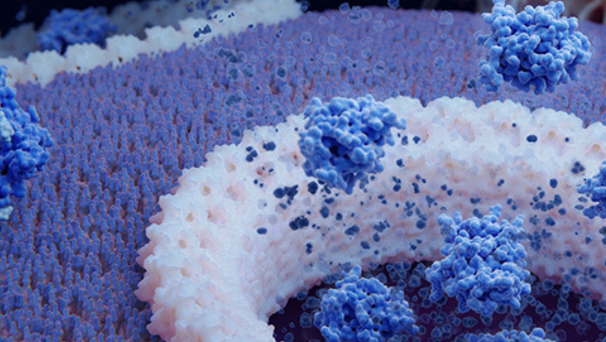 Update Enfermedades autoinmunes sistémicas