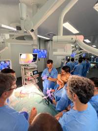 nuevas técnicas protagonizan la IV Edición del Curso de Endoscopia Bariátrica