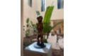exposición de arte africano El somni africà 12