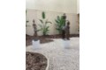exposición de arte africano El somni africà