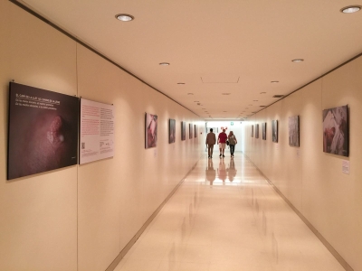 2017-10-06-PHOTO-00000435