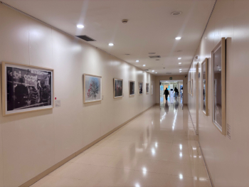 teknon-exposicion-colectiva