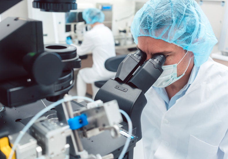 Transferencia de embriones congelados o vitrificados