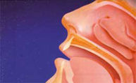 obstruccion-nasal-4