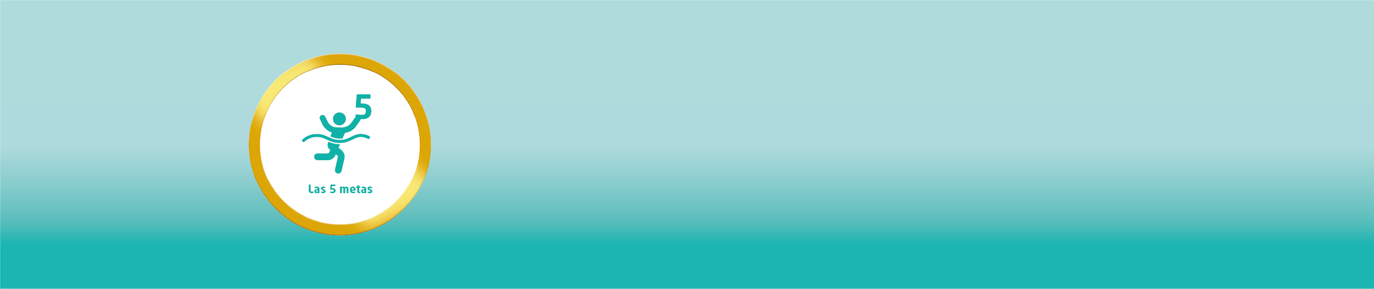 Banners Teknon_5-Metas izquierda