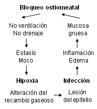 Desórdenes nasales2