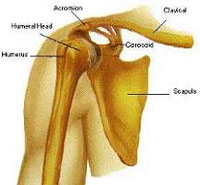 Traumatismos del hombro