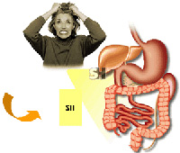 Síndrome del intestino irritable