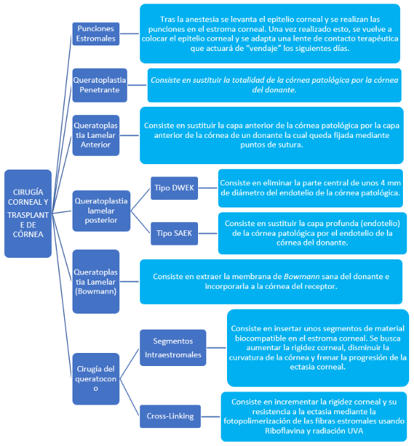 Cirugia general y trasplante de cornea teknon