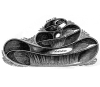 Hipoacusia en el adulto