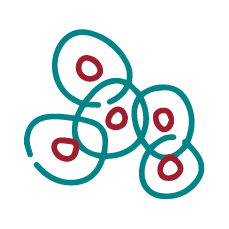 Iconos Teknon_Pioneros en terapia celular regulada-