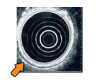 Imagen de las cinco capas del estómago