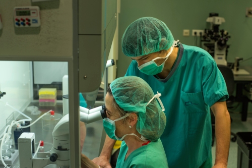 investigacion-teknon