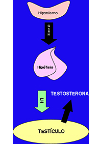 Tratamiento Hormonal