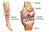 Traumatismos de la rodilla