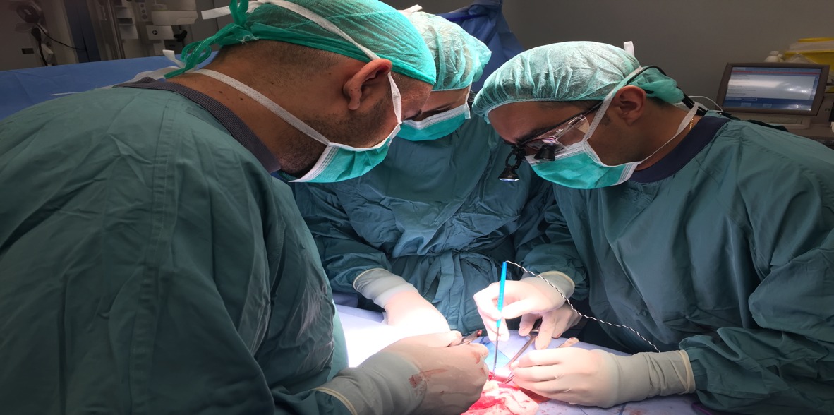 cirugia general adultos ramon vilallonga puy