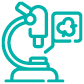 Evaluación y Prevención del cáncer