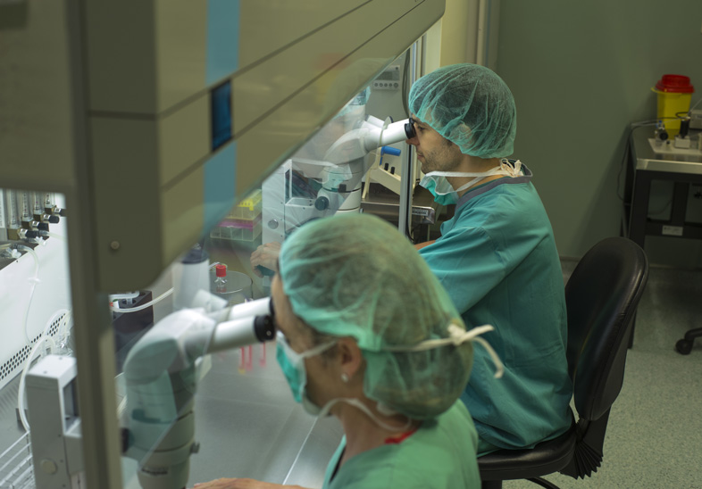 Laboratorio de anatomía patológica