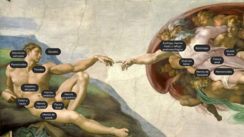 Dr Bardaji Cirugia general adultos