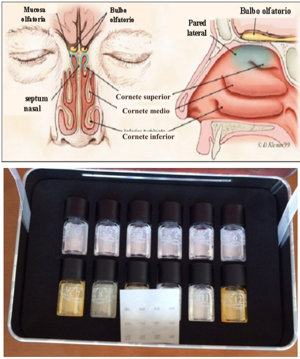 alteraciones del olfato y prueba de olfatometría