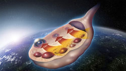 Óvulo-para-tratamiento-FIV-ICSI