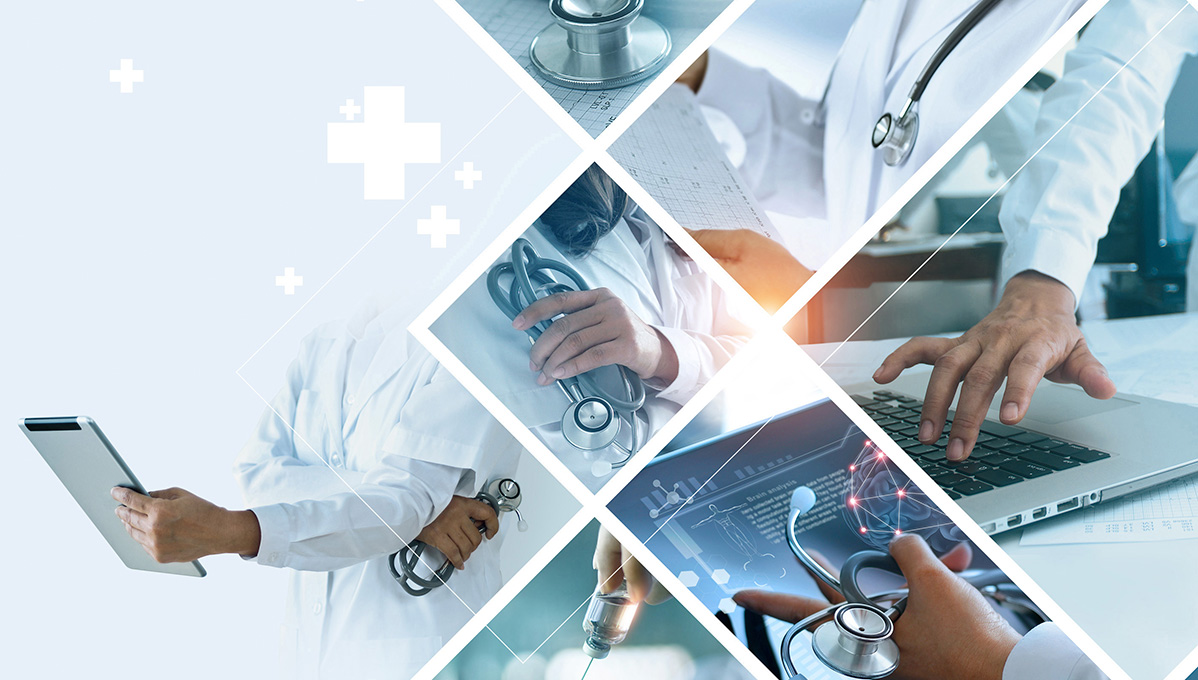 Conoce a nuestros Equipos