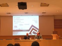 Curso de Enfermedades de Colon del Centro Médico Teknon