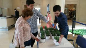 dia mundia sin tabaco