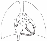ecocardiografia