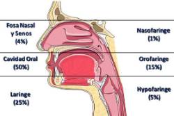 Cancercabezacuello_Incidencia_Cancer_cabeza_y_cuello