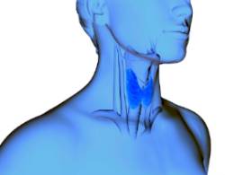 cancer cabeza-cuello