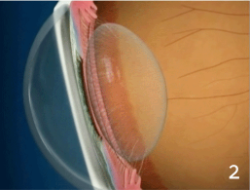 Captura de pantalla 2022-06-10 a las 13.13.12