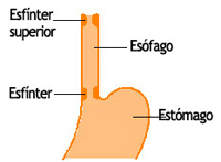 Alteraciones en los movimientos del esófago