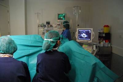 inseminación artificial