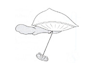 Con reconstrucción osicular