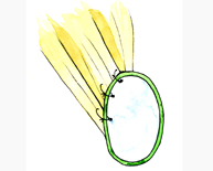 Anudado de las suturas