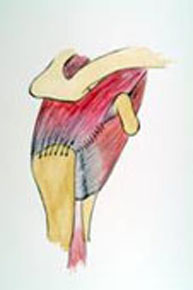 Reparación de una rotura del manguito de los rotadores