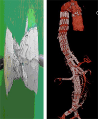 Evolución tecnológica