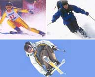 Carving,telemark y freestyle