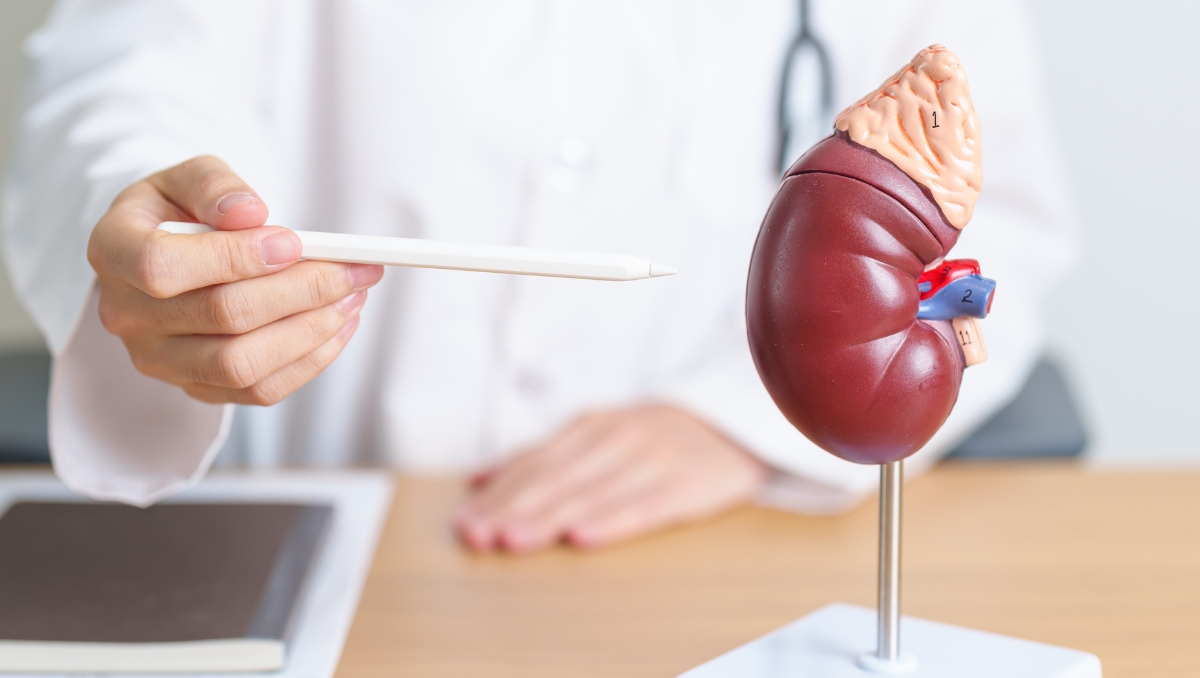 Cirurgia robòtica en el càncer de ronyó: més precisió i menys impacte ...